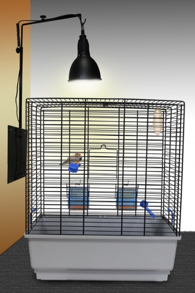 Lamp Support "2 in 1" Lampenständer Lucky Reptil Farbe schwarz